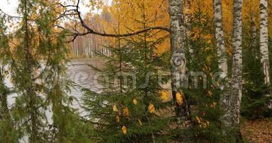 秋季博罗耶湖沿岸地区景观，湖面上的码头，俄罗斯瓦尔达国家公园，色彩缤纷，色彩多元